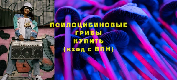 ГАЛЛЮЦИНОГЕННЫЕ ГРИБЫ Абаза