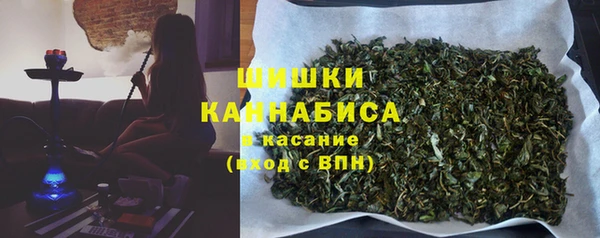 ГАЛЛЮЦИНОГЕННЫЕ ГРИБЫ Абаза