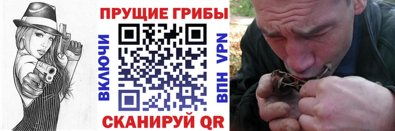 Псилоцибиновые грибы Psilocybe  цены наркотик  Ува 